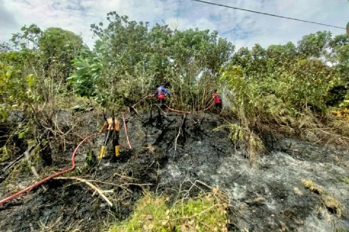 BPBD Menduga Kebakaran Lahan di Palangka Raya Disengaja