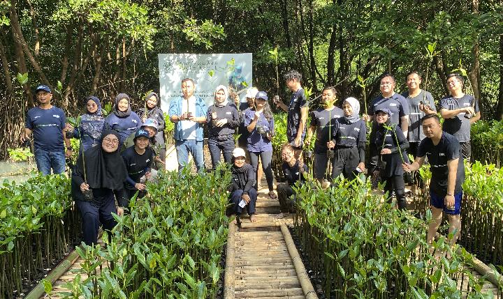 PNM Tanam 50.000 Pohon Mangrove Guna Tekan Bencana di Pesisir