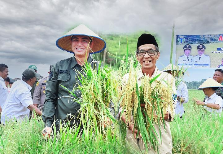 Kerja Cepat Membangun Batang Hari