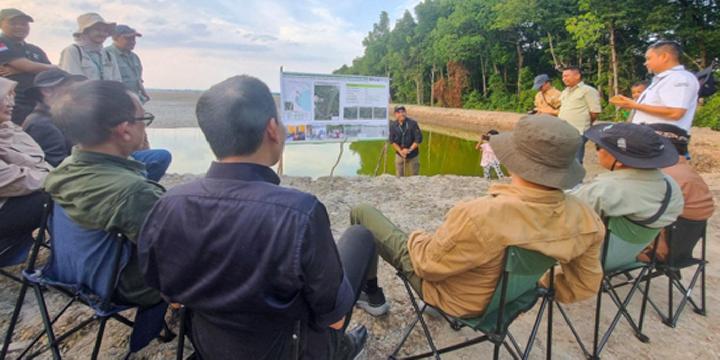 BRGM Pulihkan Ekosistem Mangrove dengan Metode Tambak Silvofishery