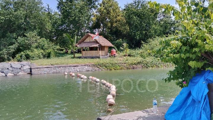 Polemik Proyek PT BTID di Pulau Serangan Bali, Apa yang Terjadi?