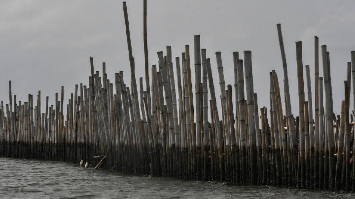 PT TRPN Bongkar Pagar Laut di Bekasi, Ditargetkan 10 Hari Selesai