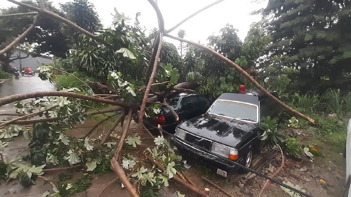 Hujan dan Angin Kencang di Depok Hari Ini, Mobil Tertimpa Pohon dan Tembok Jebol Diterjang Luapan Sungai