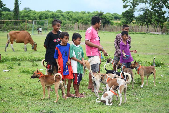 10 Orang Meninggal Terkena Rabies di NTT Sepanjang 2025