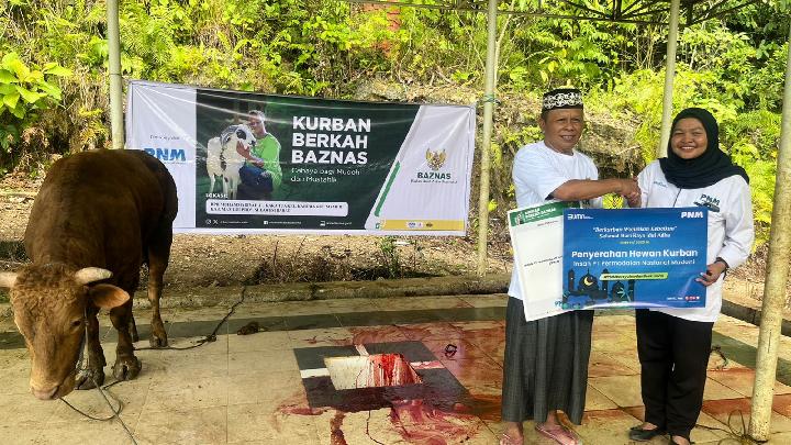 Kolaborasi PNM dan BAZNAS Salurkan Hewan Kurban untuk Masyarakat 3T