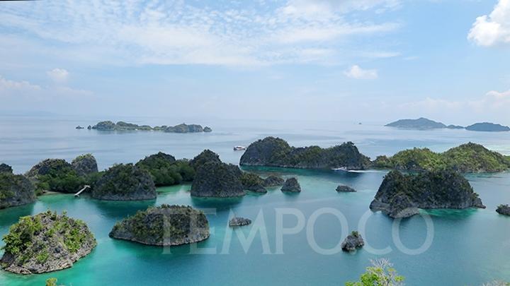 Apa yang Istimewa dari Raja Ampat?