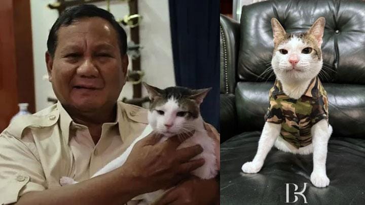 Perlakuan Istimewa Kucing Bobby Kertanegara dengan Fasilitas Negara Dinilai Terlalu Berlebihan